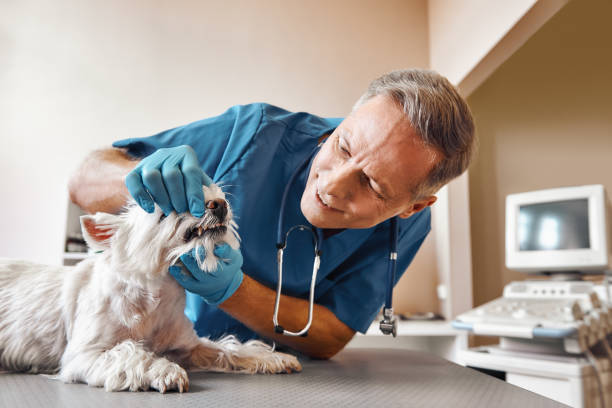 Best 24-Hour Emergency Dentist in Nassau Bay, TX